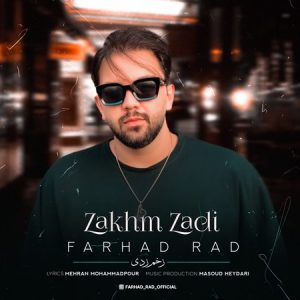 دانلود آهنگ زخم زدی از فرهاد راد